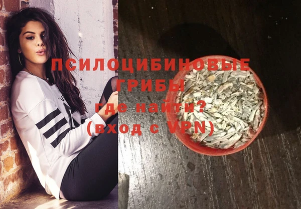 ешки Надым