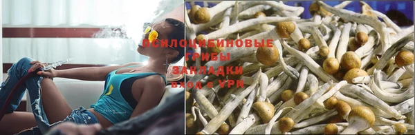 ешки Надым