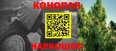 СК Бийск