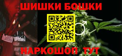 СК Бийск