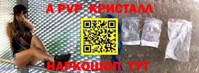 СК Бийск