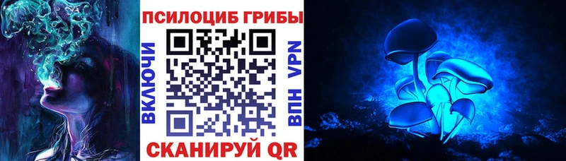 Галлюциногенные грибы мухоморы  наркотики  Раменское 