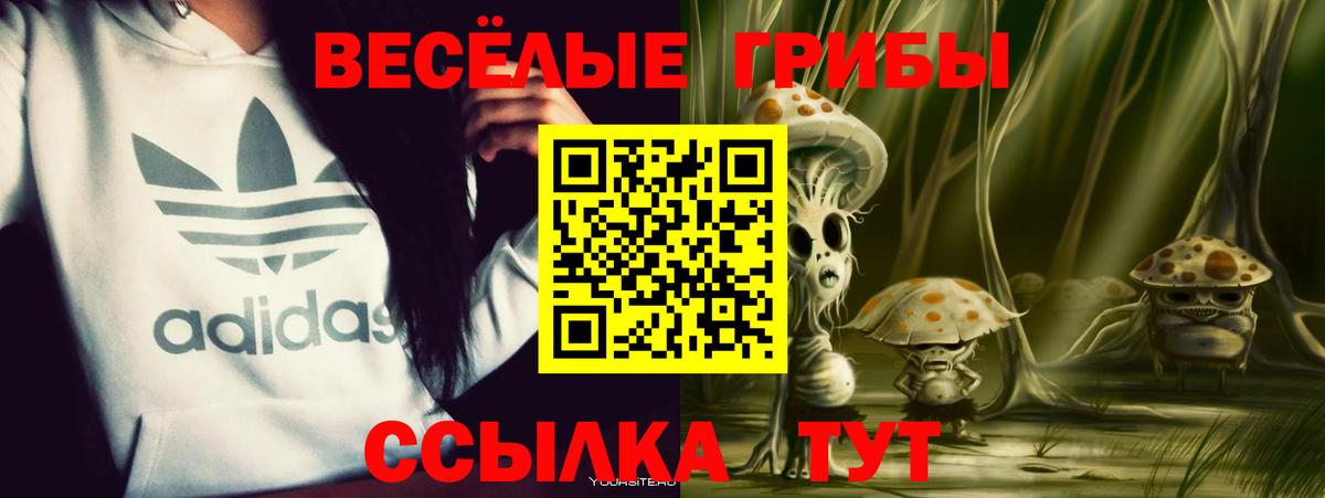 Псилоцибиновые грибы прущие грибы Раменское