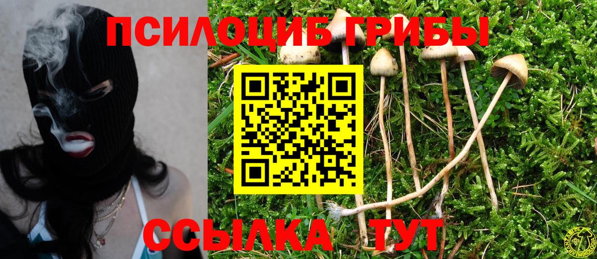 купить   Псилоцибиновые грибы Magic Shrooms  Раменское  Вход с VPN  Галлюциногенные грибы мухоморы 
